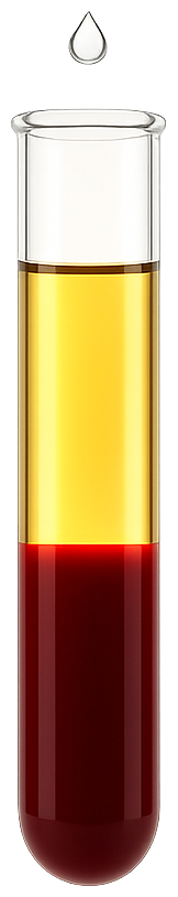 A centrifuged blood-collection tube: straw-gold plasma separated above deep red packed cells, with a single droplet suspended above the open rim.